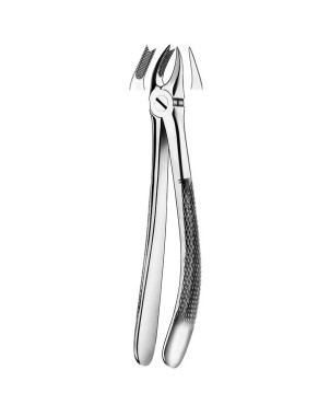 89 FORCEPS MOLAR SUPERIOR DCHA