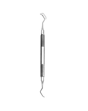 960/4R-4L C.COLUMBIA POSTERIOR