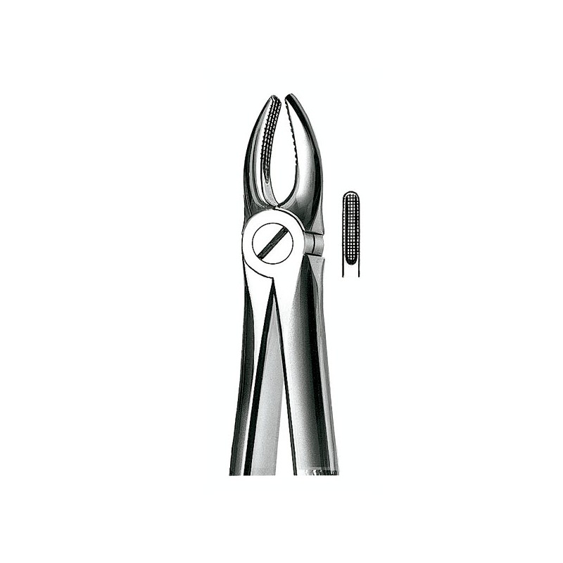 E1 FORCEPS N.1 INCIS-CANIN.SUP