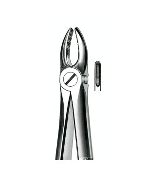 E1 FORCEPS N.1 INCIS-CANIN.SUP