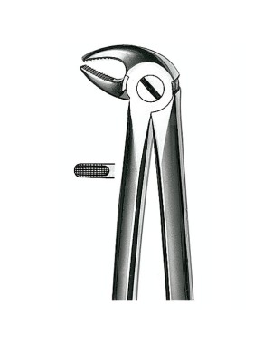 E13 FORCEPS N.13 PREMOLAR INF.