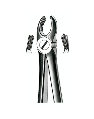E17 FORCEPS N.17 MOLAR SUP.DCHO.