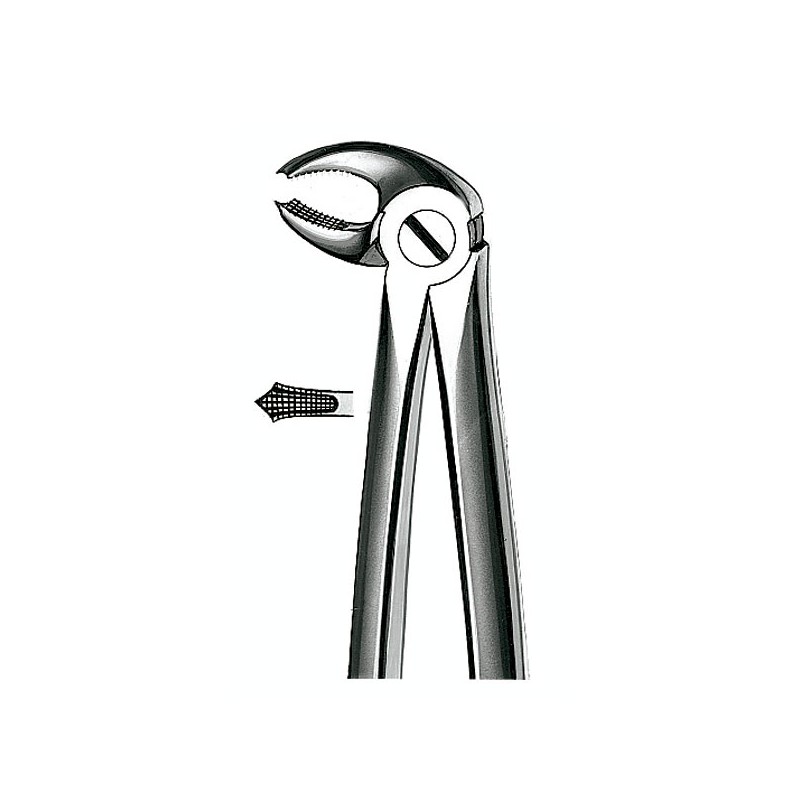 E22 FORCEPS N.22 MOLAR INF.