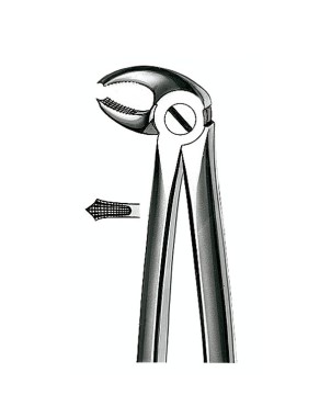 E22 FORCEPS N.22 MOLAR INF.