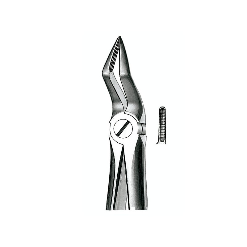 E51A FORCEPS N.51A RAICES SUP.