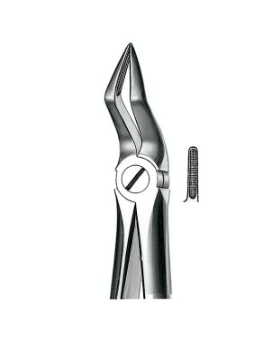 E51A FORCEPS N.51A RAICES SUP.