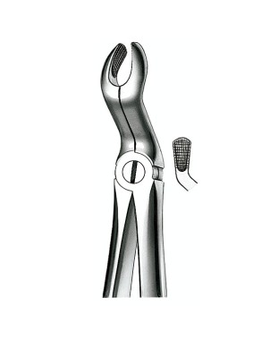 E67A FORCEPS N.67A CORDAL SUP.