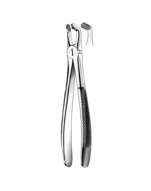 E79 FORCEPS N.79 CORDAL INF.