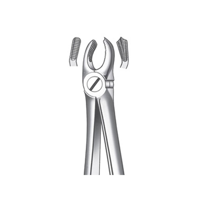 M2017 FORCEPS MOLAR SUP. DCHO.