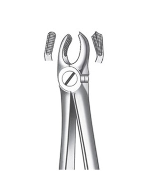 M2017 FORCEPS MOLAR SUP. DCHO.