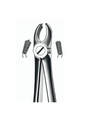 M2018 FORCEPS MOLAR SUP. IZQDO