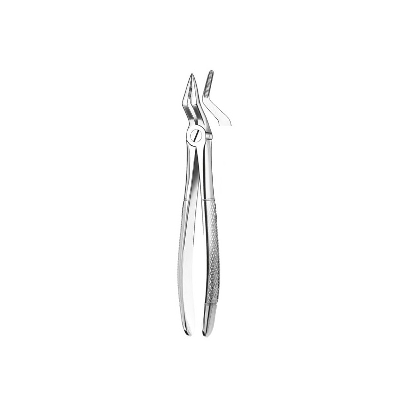 M2051 FORCEPS RAICES SUPERIOR.