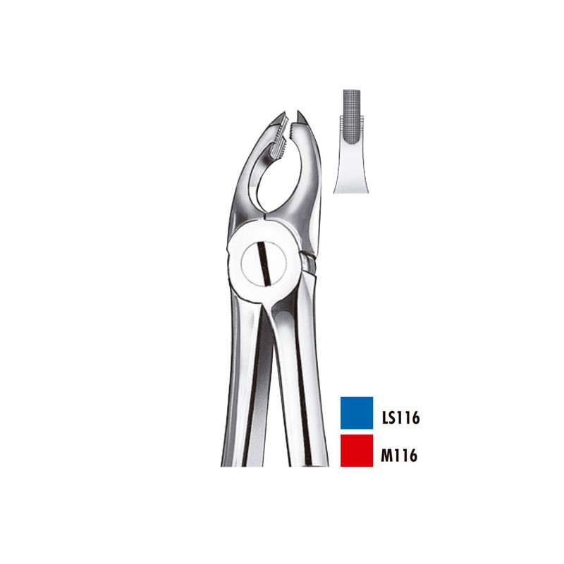 M116 FORCEPS PREMOLARES SUP.