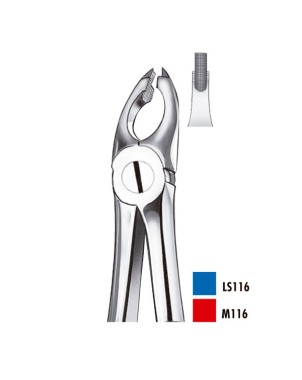 M116 FORCEPS PREMOLARES SUP.