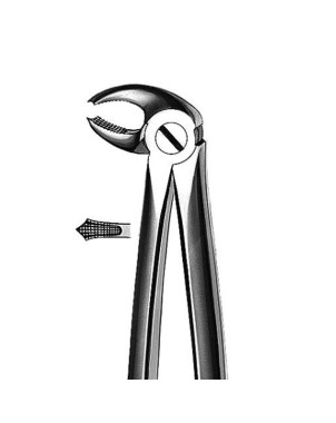 M2022 FORCEPS