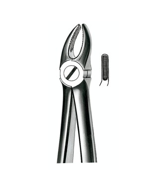 E7 FORCEPS N.7 PREMOLAR SUP.