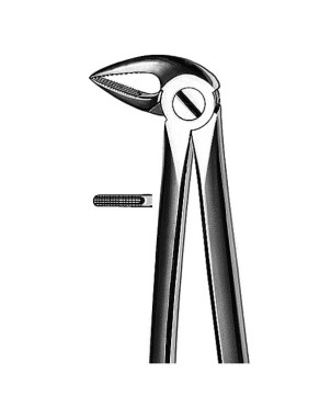 E33A FORCEPS RAICES INFERIORES