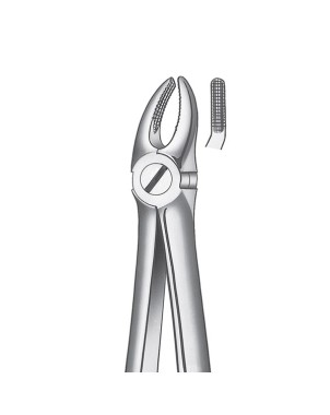 7 FORCEPS PREMOLAR SUPERIOR