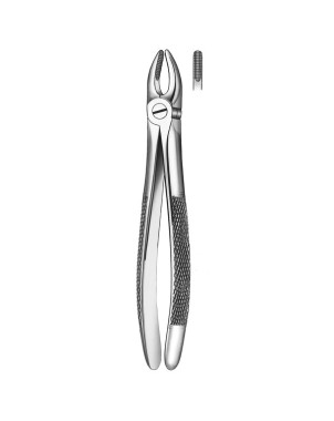 1 FORCEPS INCISIVO-CANINO SUP.