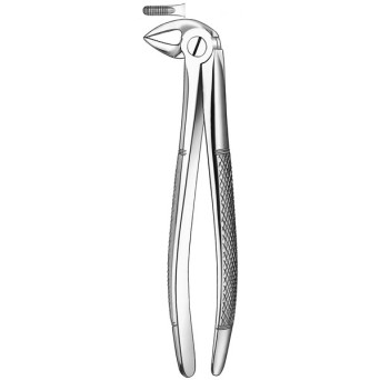 33 FORCEPS RAICES INFERIORES