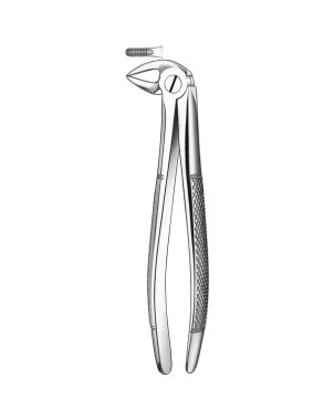 33 FORCEPS RAICES INFERIORES