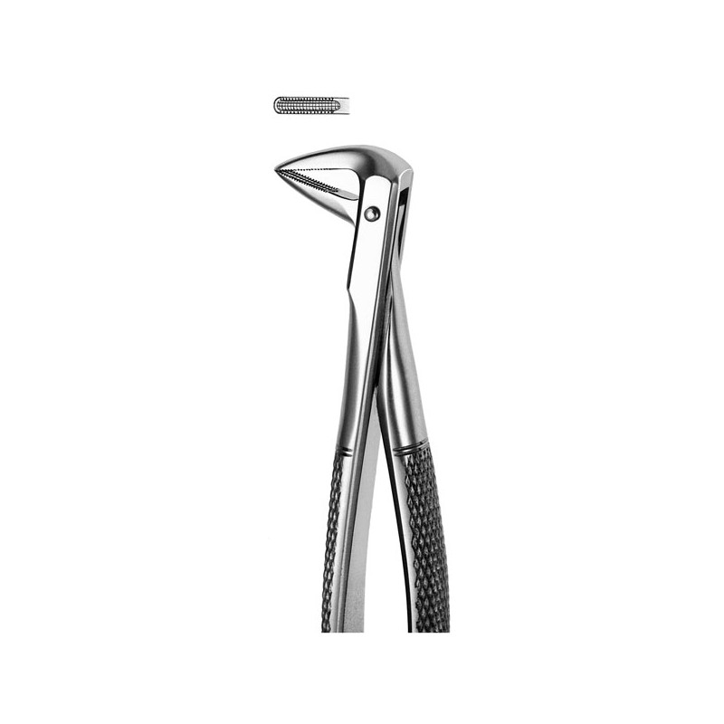 M74 FORCEPS RAICES INFERIORES