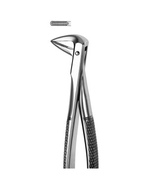 M74 FORCEPS RAICES INFERIORES
