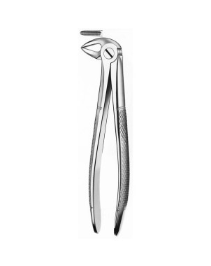 33A FORCEPS RAICES INFERIORES