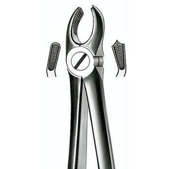 17 FORCEPS MOLAR SUP. DERECHO