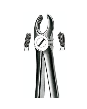 17 FORCEPS MOLAR SUP. DERECHO