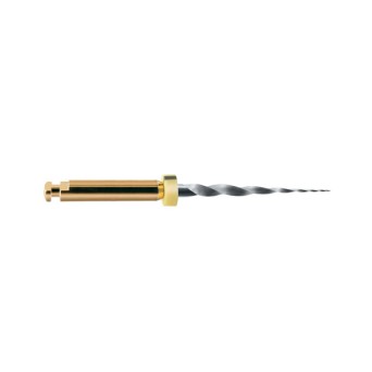 LIMAS PROTAPER GOLD SX 19mm. 6u. (A0410-X)