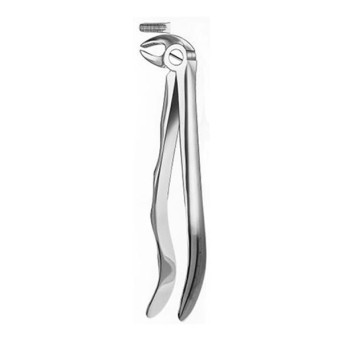 313 FORCEPS RAICES