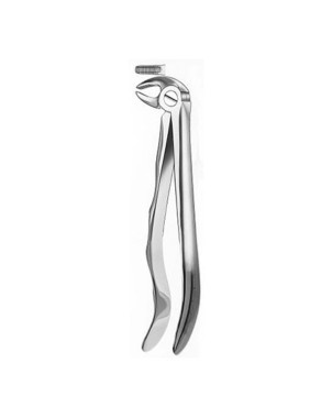 313 FORCEPS RAICES