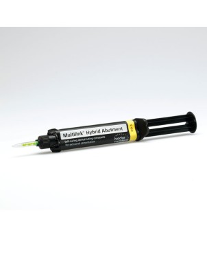 MULTILINK HYBRID ABUTMENT REP. HO 0