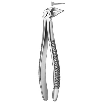 136 FORCEPS RAICES INFERIORES