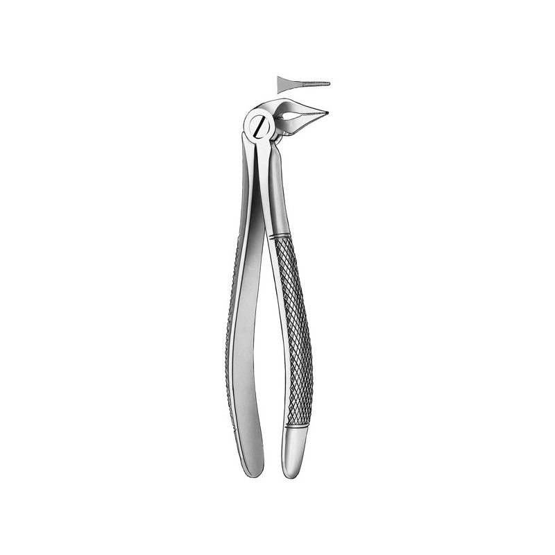 136 FORCEPS RAICES INFERIORES