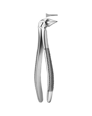136 FORCEPS RAICES INFERIORES