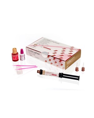 G-CEM LINKFORCE STARTER KIT A2 9542