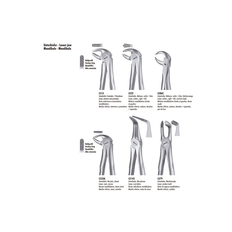 LS22 FORCEPS MOLAR INF. LIQUID STEEL