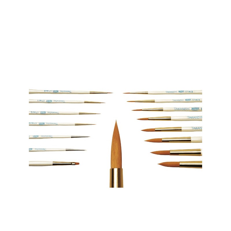 PINCEL TAKANISHI RENFERT nº 6 2 ud