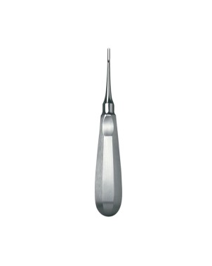 588/7 BOTADOR SCHWAL CURVO 2,5mm.