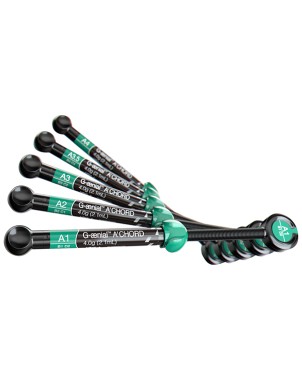 AO2 GAENIAL ACHORD JER. 4g. 10006748