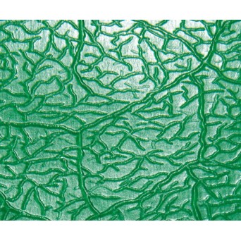 CERA RUGOSA BEGO mediana 0,50 mm 15 planchas
