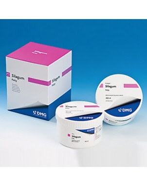 SILAGUM PUTTY FAST 2x262ml.