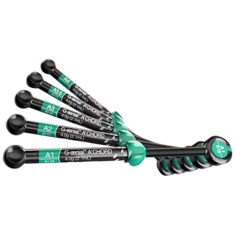 AO2 GAENIAL ACHORD JER. 4g. 10006748
