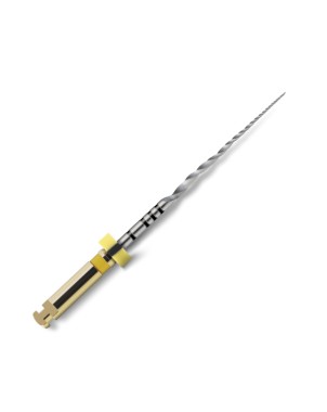 PROTAPER NEXT 31 mm X1 lima esteril 6 ud