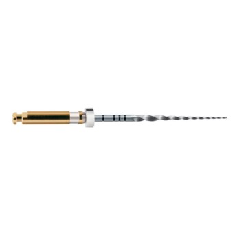 LIMAS PROTAPER GOLD S2 25mm. 6u. (A0410-2)