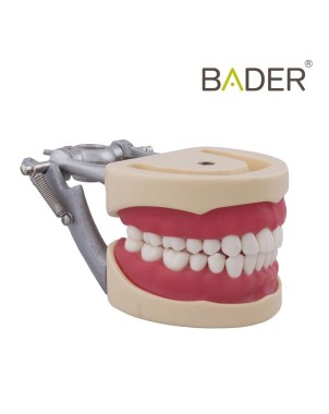Tipodonto compatible Columbia 860 y Nissin® adulto Bader