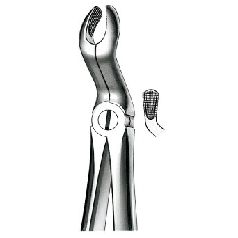FORCEPS MARTIN 67A mod grande cordales superiores