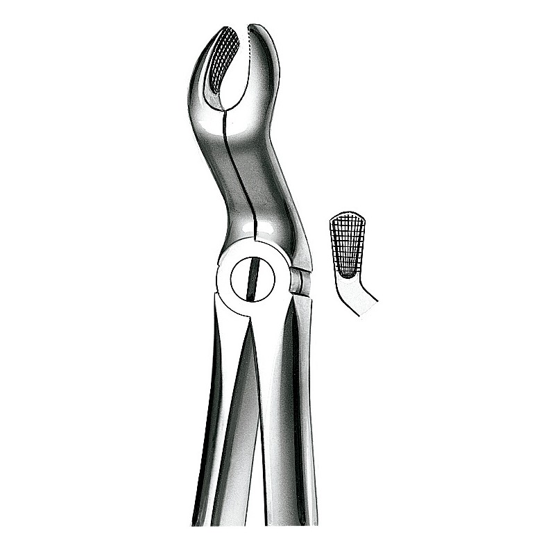 FORCEPS MARTIN 67A mod grande cordales superiores